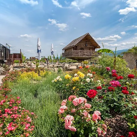 Szálloda Glamping Alliance 4*