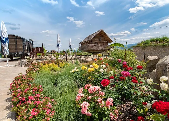 酒店 Glamping Alliance 4*